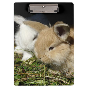 Cute little fluffy bunnies clipboard