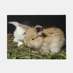 Cute little fluffy bunnies doormat