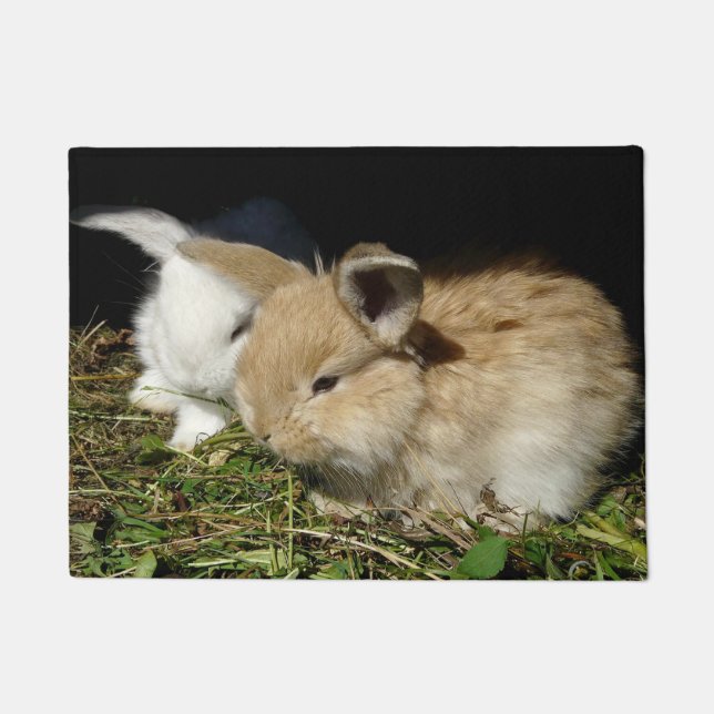 Cute little fluffy bunnies     doormat (Front)