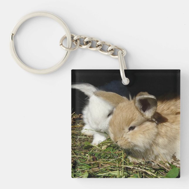 Cute little fluffy bunnies  key ring (Front)
