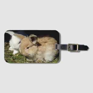 Cute little fluffy bunnies luggage tag