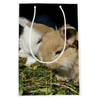 Cute little fluffy bunnies   medium gift bag
