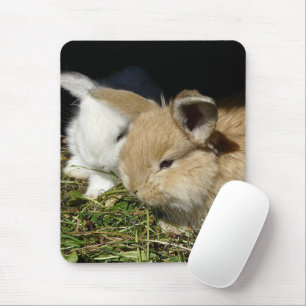 Cute little fluffy bunnies  mouse pad