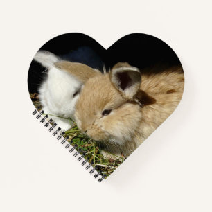 Cute little fluffy bunnies notebook