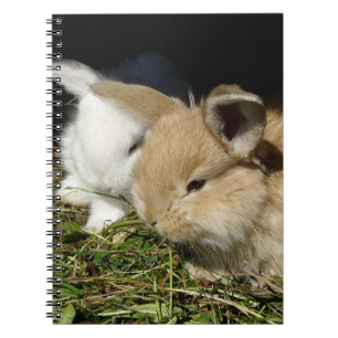 Cute little fluffy bunnies notebook