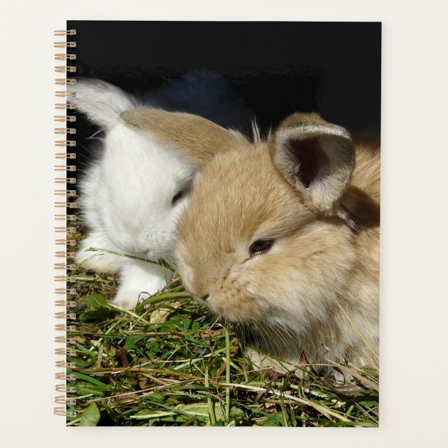 Cute little fluffy bunnies    planner (Front)