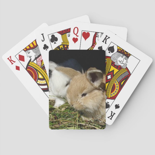 Cute little fluffy bunnies  playing cards (Back)