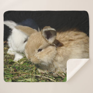 Cute little fluffy bunnies   sherpa blanket