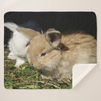 Cute little fluffy bunnies   sherpa blanket