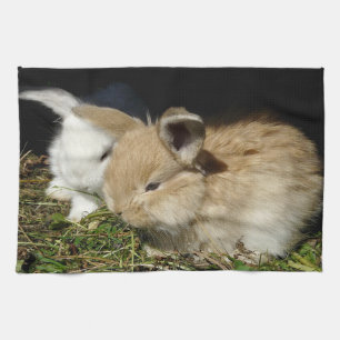 Cute little fluffy bunnies  tea towel