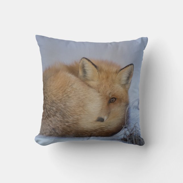 Cute Little Fox Curled Up Winter Photo Cushion (Front)