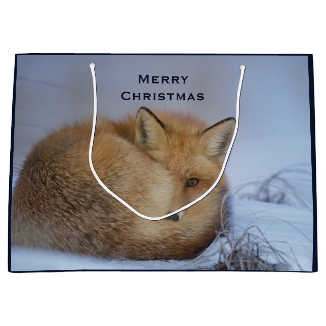 Cute Little Fox Curled Up Winter Photo Large Gift Bag (Front)