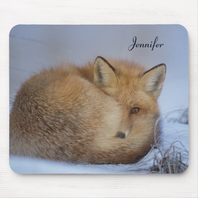 Cute Little Fox Curled Up Winter Photo Mouse Pad (Front)