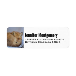 Cute Little Fox Curled Up Winter Photo Return Address Label