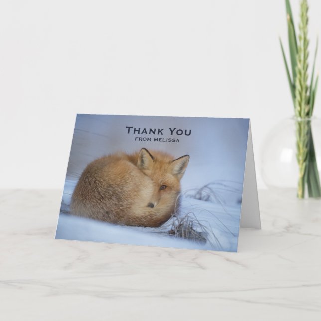 Cute Little Fox Curled Up Winter Photo Thank You Card (Front)