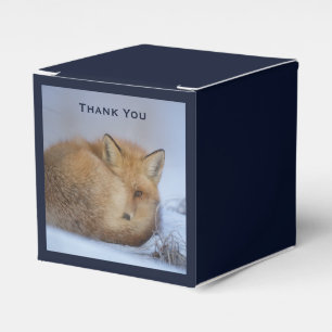 Cute Little Fox Curled Up Winter Photo Thank You Favour Box