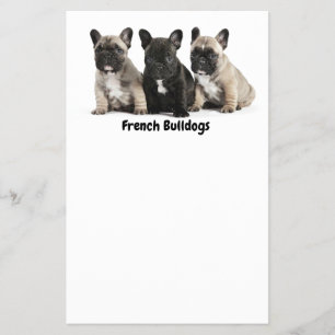 Cute little French Bulldogs Label Flyer