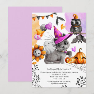 Cute Little Girl's Halloween Birthday Celebration Invitation