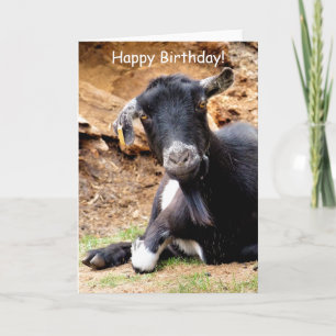 CUTE LITTLE GOAT CARD