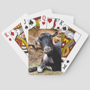 CUTE LITTLE GOAT PLAYING CARDS
