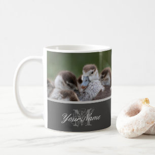 Cute little goslings cuddling together as family! coffee mug