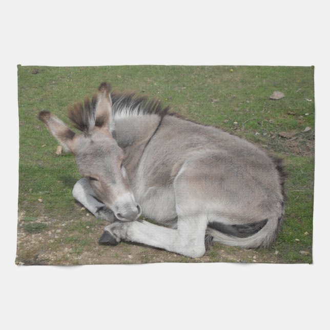 Cute Little Gray Donkey Baby Foal Laying Down Tea Towel (Horizontal)