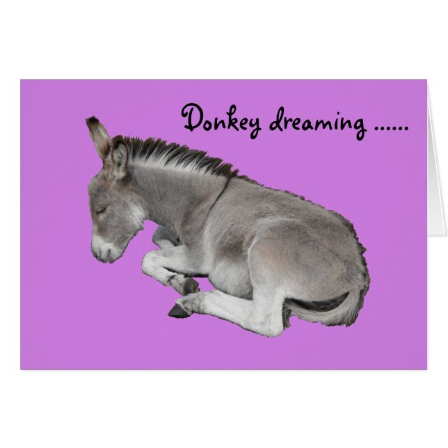 Cute Little Grey Donkey Baby Foal Dreaming (Front Horizontal)
