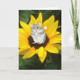 Cute Little Hamster Sitting In Yellow Sunflower Card