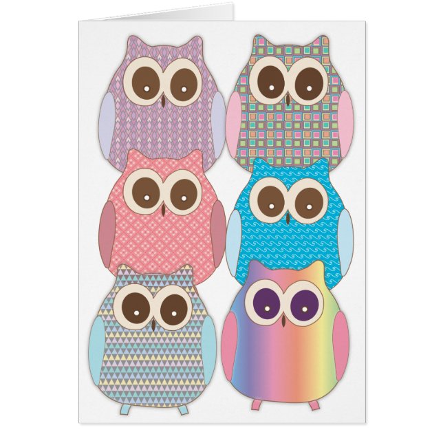 Cute Little Hoot Owls Assorted Colours (Front)