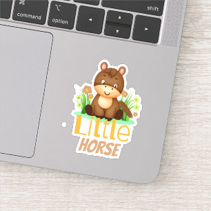 Cute little horse