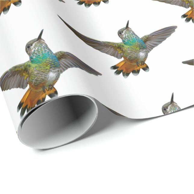 Cute Little Hummingbird Bird Nature Wildlife Wrapping Paper (Roll Corner)