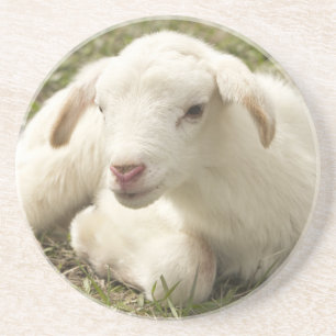 Cute little kid coaster