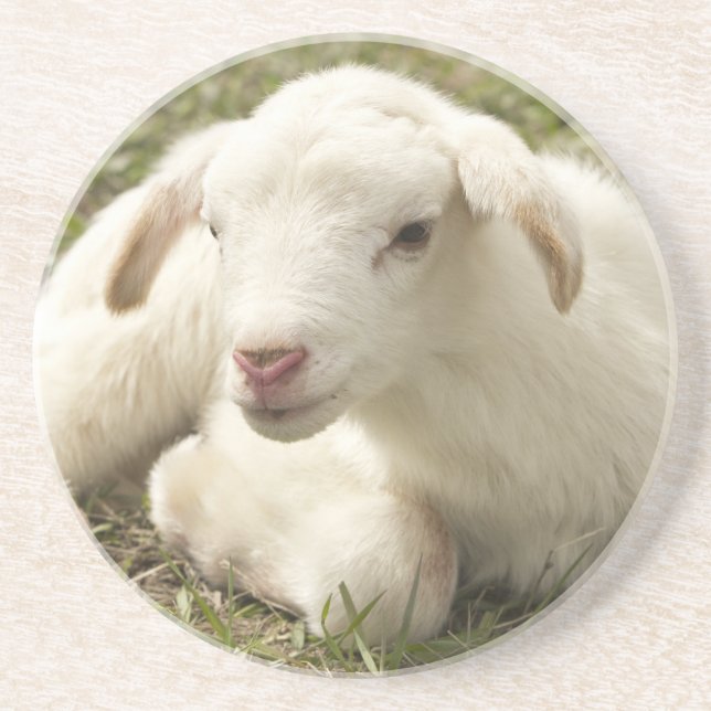 Cute little kid coaster (Front)