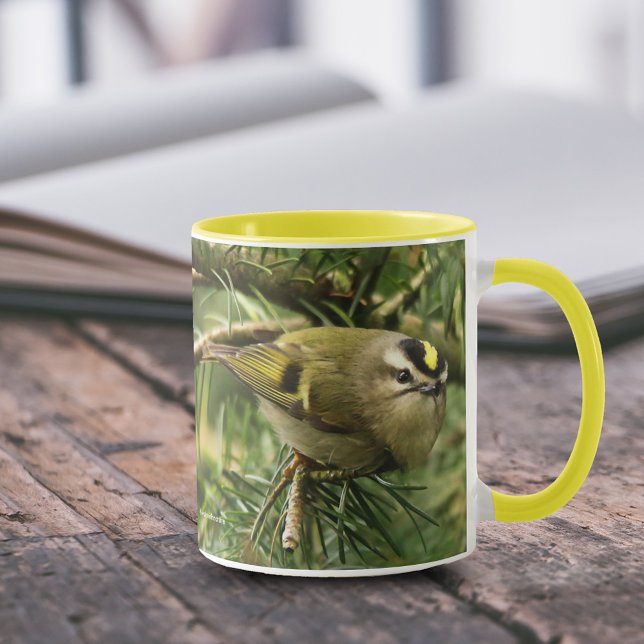 Cute Little Kinglet Causes a Stir in the Fir Mug (Cute Little Kinglet Causes a Stir in the Fir 11 oz Coffee Mug Cover Photo.)