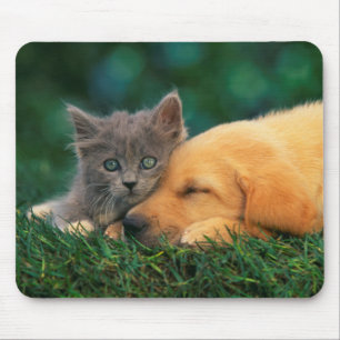 Cute little Kitten and puppy together Mouse Pad