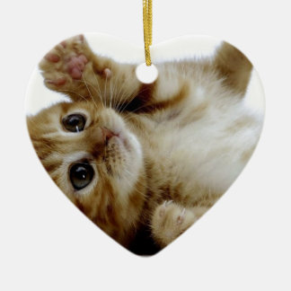 cute little kitten cat pet ginger tabby ceramic tree decoration