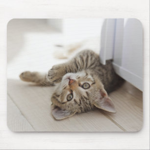 Cute Little Kitten Mouse Pad