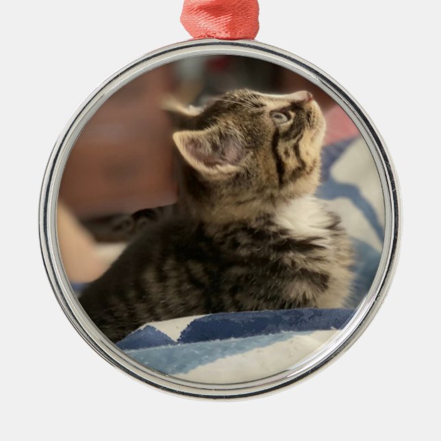 Cute little Kitten Personalised Photo Christmas   Metal Ornament (Front)