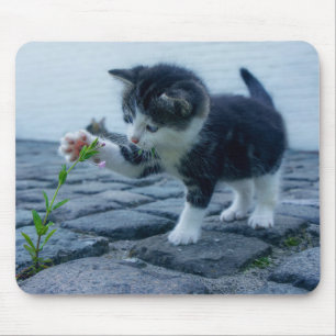 Cute Little Kitten Playing with a Flower Mouse Pad