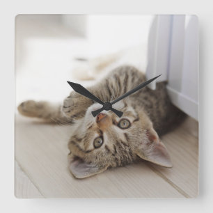Cute Little Kitten Square Wall Clock