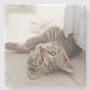 Cute Little Kitten Stone Coaster