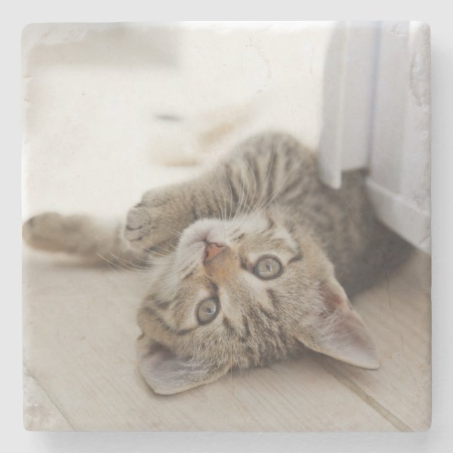 Cute Little Kitten Stone Coaster (Front)