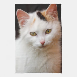 Cute Little Kitten Tea Towel
