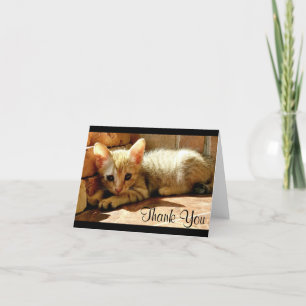 Cute Little Kitten Thank You Card