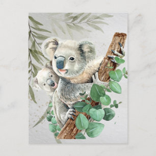 Cute Little Koala Bear Australian Animal Art  Postcard