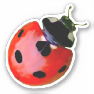 Cute little ladybug grants good luck and fortune!