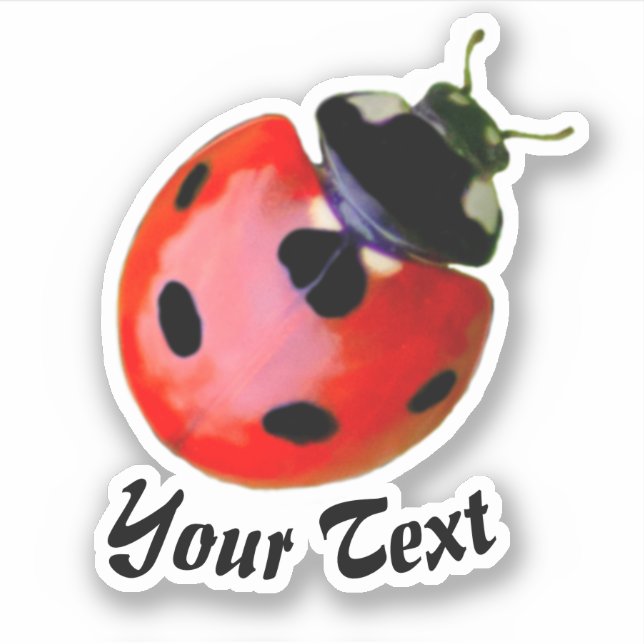 Cute little ladybug grants good luck and fortune!  (Front)