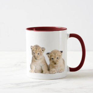 Cute Little Lion Cubs Mug