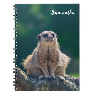 Cute Little Meerkat Spiral notebook