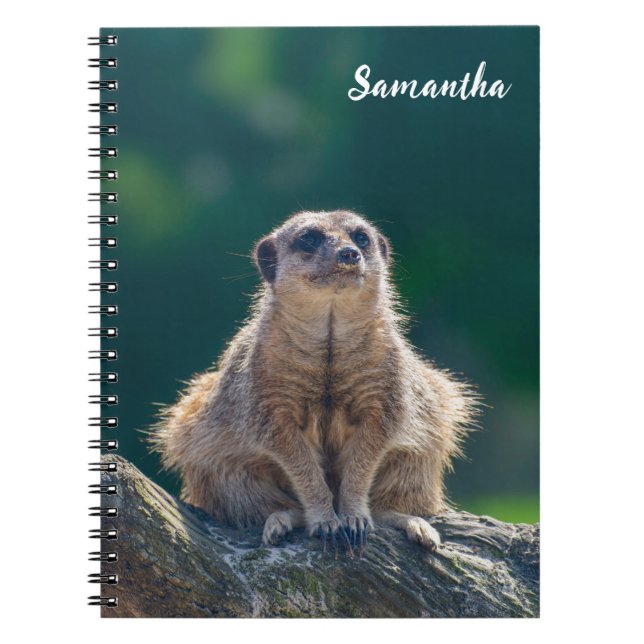 Cute Little Meerkat Spiral notebook (Front)